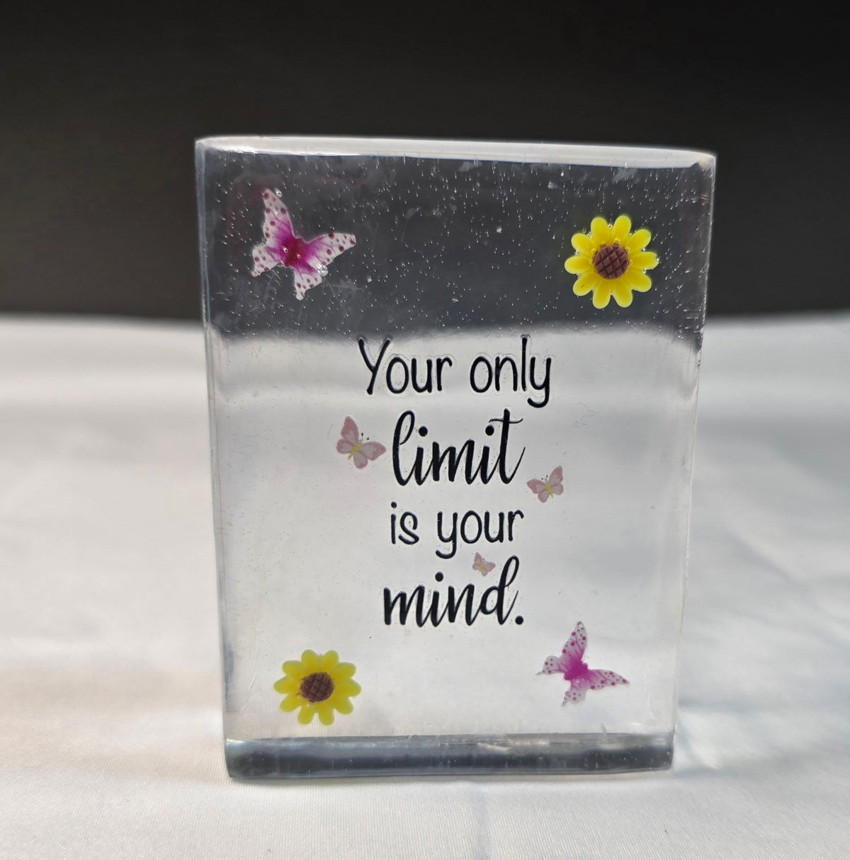 "Your Only Limit Is Your Mind" Desk Plaque